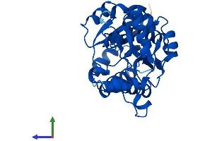 AlphaFold protein structure predicition of Human Recombinant NMRAL1 Protein, UniprotID Q9HBL8