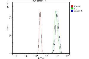 Flow Cytometry analysis of U20S cells using anti-Syntenin 2/SDCBP2 antibody (ABIN7600017). (SDCBP2 Antikörper  (AA 14-292))