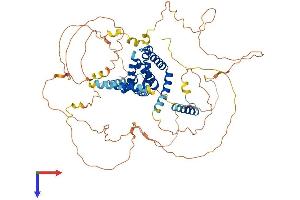 EPN3 Protein (AA 1-632) (His tag)