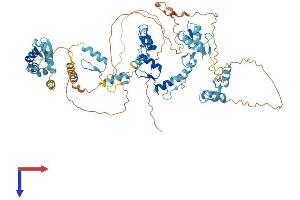 ZBTB48 Protein (AA 1-688) (His tag)