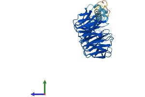 Protein Structure (PS) image for Platelet-Activating Factor Acetylhydrolase 1b, Regulatory Subunit 1 (45kDa) (PAFAH1B1) (AA 1-410) protein (His tag) (ABIN7563502)