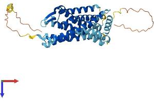 CXCR3 Protein (AA 1-368) (His tag)