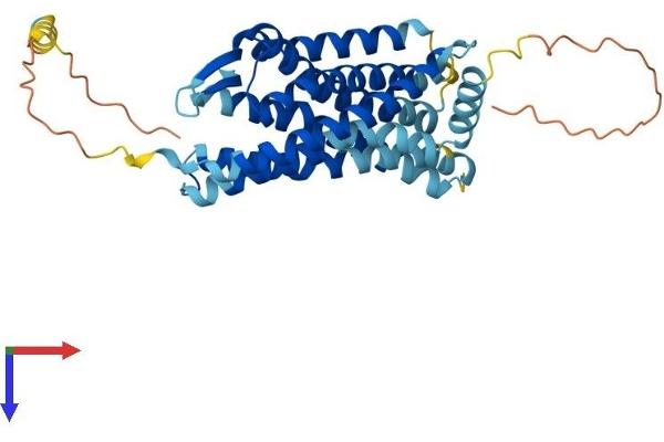 CXCR3 Protein (AA 1-368) (His tag)