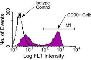 Flow Cytometry (FACS) image for anti-CD90 (THY1) antibody (FITC) (ABIN371023) (CD90 Antikörper  (FITC))