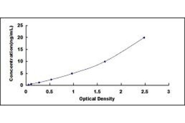 Angiotensin I Converting Enzyme 1 ELISA Kit