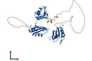 Protein Structure (PS) image for ELAV-Like 3 (ELAVL3) (AA 1-367) protein (His tag) (ABIN7557634)