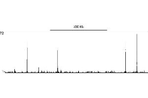 ChIP DNA-Sequencing (ChIP-seq) image for anti-Tripartite Motif Containing 24 (TRIM24) (AA 700-750) antibody (ABIN7454678) (TRIM24 Antikörper  (AA 700-750))