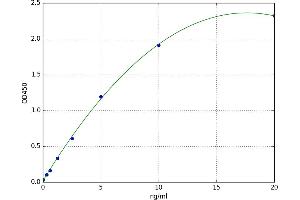 Mucin 6, Oligomeric Mucus/gel-Forming (MUC6) ELISA Kit