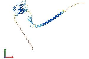 Protein Structure (PS) image for Cell Death-Inducing DFFA-Like Effector A (CIDEA) (AA 1-217) protein (His tag) (ABIN7562530)