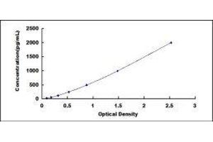 ISG15 Ubiquitin-Like Modifier (ISG15) ELISA Kit