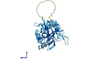 Protein Structure (PS) image for RWD Domain Containing 3 (RWDD3) (AA 1-267) protein (His tag) (ABIN7559964)