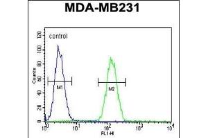 STX7 Antibody (N-term) (ABIN1881855 and ABIN2840425) flow cytometric analysis of MDA-M cells (right histogram) compared to a negative control cell (left histogram). (Syntaxin 7 Antikörper  (N-Term))