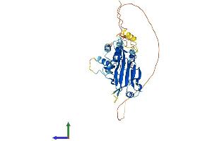 Protein Structure (PS) image for Interferon Regulatory Factor 9 (IRF9) (AA 1-399) protein (His tag) (ABIN7557677)