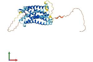 Protein Structure (PS) image for Chemokine (C-C Motif) Receptor 2 (CCR2) (AA 1-374) protein (His tag) (ABIN7553021)