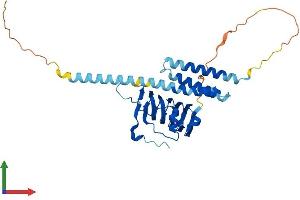 Protein Structure (PS) image for Tubulin Folding Cofactor C (TBCC) (AA 1-341) protein (His tag) (ABIN7559825)