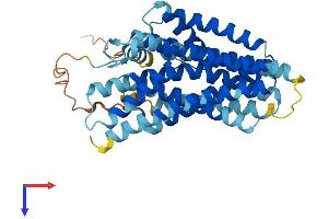 AlphaFold protein structure predicition of Human Recombinant XKR8 Protein, UniprotID Q9H6D3
