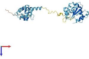 MYD88 Protein (AA 1-296) (His tag)