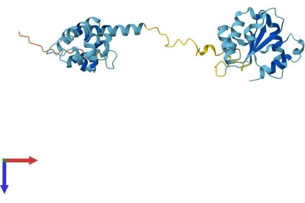 MYD88 Protein (AA 1-296) (His tag)