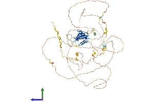 Protein Structure (PS) image for Forkhead Box O3 (FOXO3) (AA 1-673) protein (His tag) (ABIN7553979)