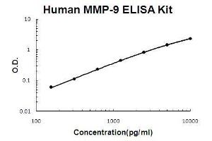 Human MMP-9 PicoKine ELISA Kit standard curve