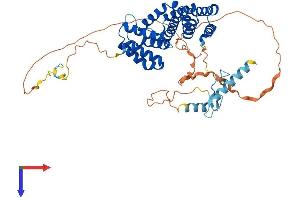 Protein Structure (PS) image for Poly(A) Binding Protein Interacting Protein 1 (PAIP1) (AA 1-479) protein (His tag) (ABIN7554889)