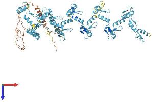 AlphaFold protein structure predicition of Human Recombinant ZNF433 Protein, UniprotID Q8N7K0