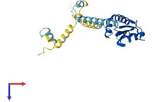 PDCL2 Protein (AA 1-241) (His tag)
