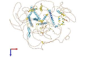 AlphaFold protein structure predicition of Mouse Recombinant Clspn Protein, UniprotID Q80YR7