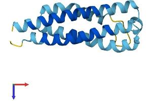 CNIH Protein (AA 1-144) (His tag)