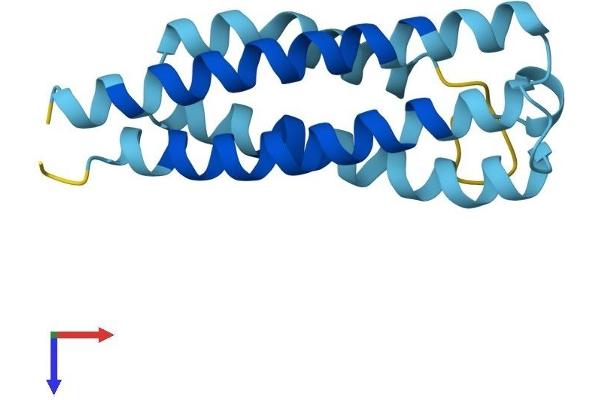 CNIH Protein (AA 1-144) (His tag)