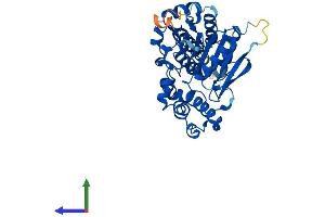 Protein Structure (PS) image for Abhydrolase Domain Containing 1 (ABHD1) (AA 1-405) protein (His tag) (ABIN7551822)