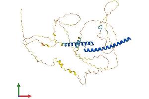 Protein Structure (PS) image for N-Myc Proto-Oncogene Protein (MYCN) (AA 1-462) protein (His tag) (ABIN7562739)