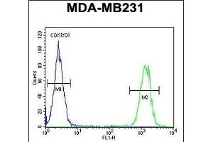 Flow Cytometry (FACS) image for anti-Killer Cell Immunoglobulin-Like Receptor, Two Domains, Long Cytoplasmic Tail, 2 (KIR2DL2) (AA 263-291), (C-Term) antibody (ABIN651949)