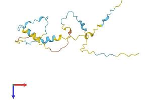 G Substrate Protein (Gsbs) (AA 1-159) (His tag)