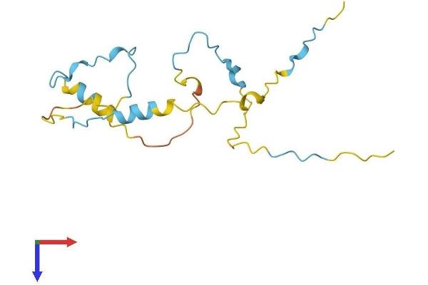 G Substrate Protein (Gsbs) (AA 1-159) (His tag)