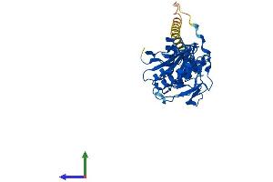 AlphaFold protein structure predicition of Mouse Recombinant B4galt4 Protein, UniprotID Q9JJ04