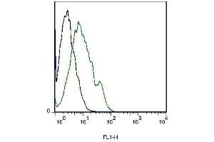 Mouse liver cells probed with Rabbit Anti-Integrin beta 1 Polyclonal Antibody . (ITGB1 Antikörper  (AA 25-100))