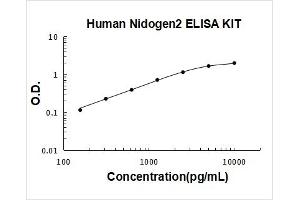 Nidogen 2 (NID2) ELISA Kit