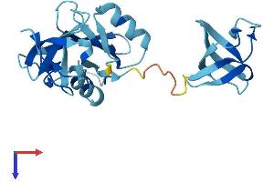 GRAP Protein (AA 1-217) (His tag)
