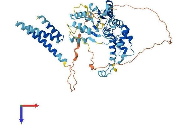 KATNA1 Protein (AA 1-491) (His tag)