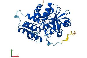 Protein Structure (PS) image for Serine Racemase (SRR) (AA 1-339) protein (His tag) (ABIN7561845)