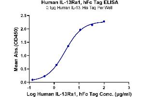 Immobilized Human IL-13 at 1 μg/mL (100 μL/Well). (IL13 Receptor alpha 1 Protein (AA 27-343) (Fc Tag))