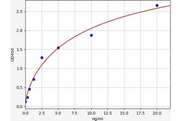 NOX1 ELISA Kit