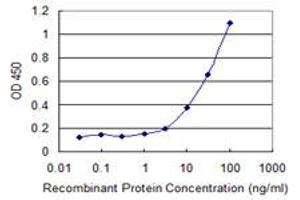 Detection limit for recombinant GST tagged SGCA is 1 ng/ml as a capture antibody. (SGCA Antikörper  (AA 26-133))