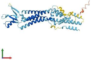Protein Structure (PS) image for Pannexin 3 (PANX3) (AA 1-392) protein (His tag) (ABIN7559285)
