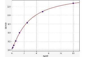 Typical standard curve (CENPB ELISA Kit)