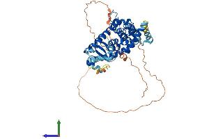 Protein Structure (PS) image for Peroxisome Proliferator-Activated Receptor gamma (PPARG) (AA 1-505) protein (His tag) (ABIN7555024)