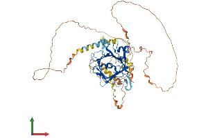 Protein Structure (PS) image for Tubby Like Protein 1 (TULP1) (AA 1-542) protein (His tag) (ABIN7555901)