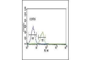 LRRN3 Antibody (N-term) (ABIN651109 and ABIN2840075) flow cytometric analysis of K562 cells (right histogram) compared to a negative control cell (left histogram). (LRRN3 Antikörper  (N-Term))
