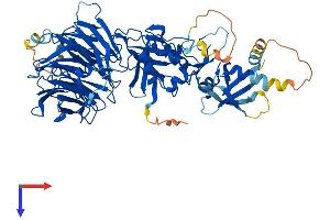 WDR48 Protein (AA 1-677) (His tag)